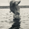 Jazalineyourfav