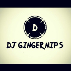 dj ginger nips
