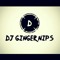 dj ginger nips