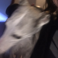 korsmichael