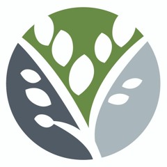 Functional Behavior Services