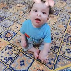 محمد ناصر أبو هلول
