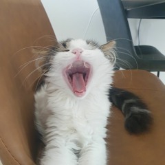 자금성