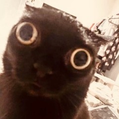 ((ᑯ-_-ᑲ))