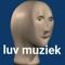 music enjoyer