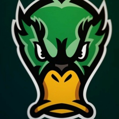 ducksoundstep’s avatar