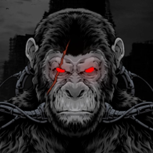 Dark Monkey Music’s avatar