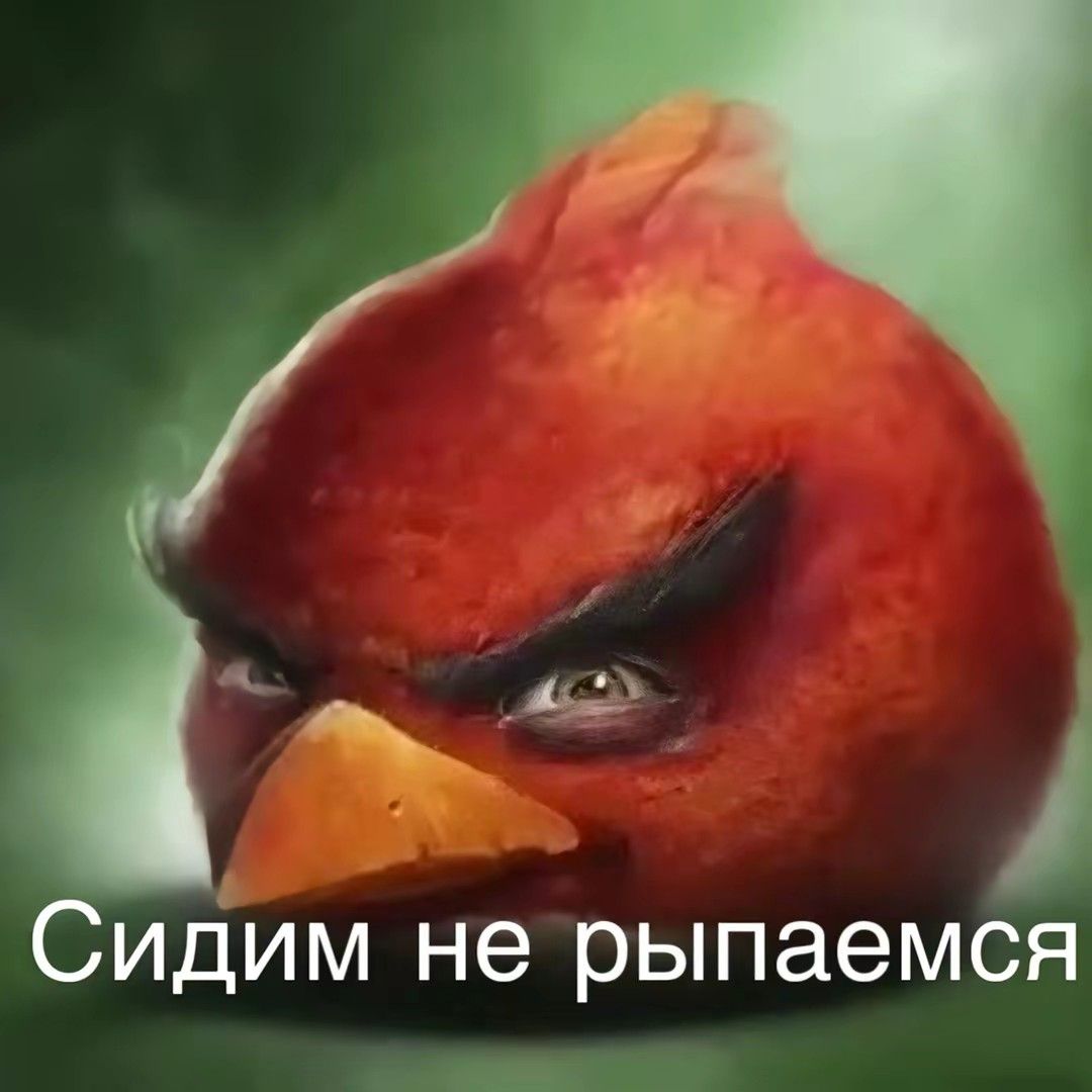 сын насрал в арбуз