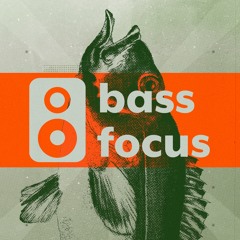 bass focus