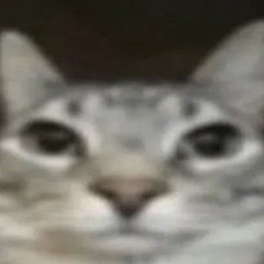 Zigzu