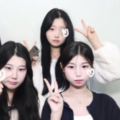 시연