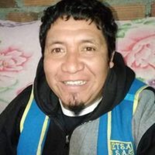 Jesus Nestor Tocto Alberca’s avatar