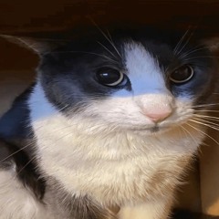 Sylv
