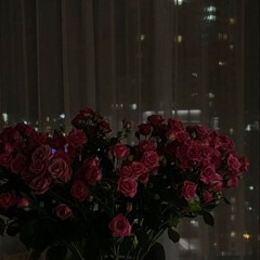 diannqw09