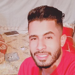 احمد المصرى