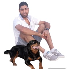 Shady Elshref