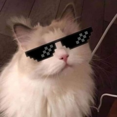 ѴΛĿĒИĊĪΛ♡