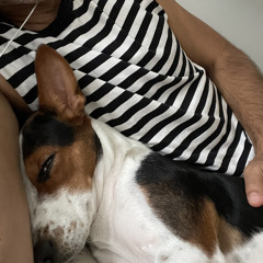 Jake Na