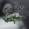 Lab Rats