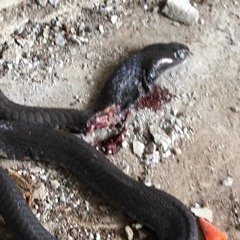 "Wake Up" - Hoodtrap UG Beat