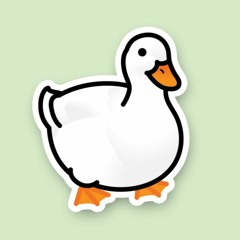 Pekin Duck