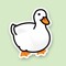 Pekin Duck