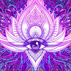 Ali~Chahï ⚡️