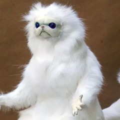 YungCardInal(