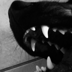 vetemutts