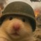 ARAFAT SELIAN (account 2 active)