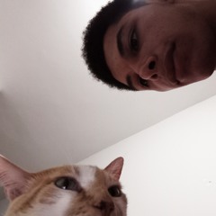 Fellip