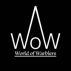 The World of Warblers