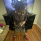 k2offx