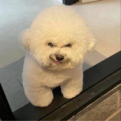 Sean Jhuang