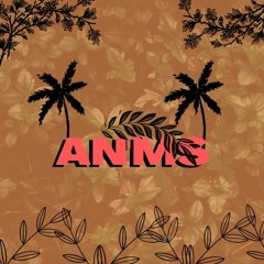 AN'Ms