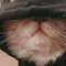 𝑴𝑼𝑨𝑻𝑯