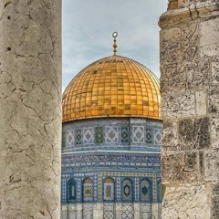 نسائم