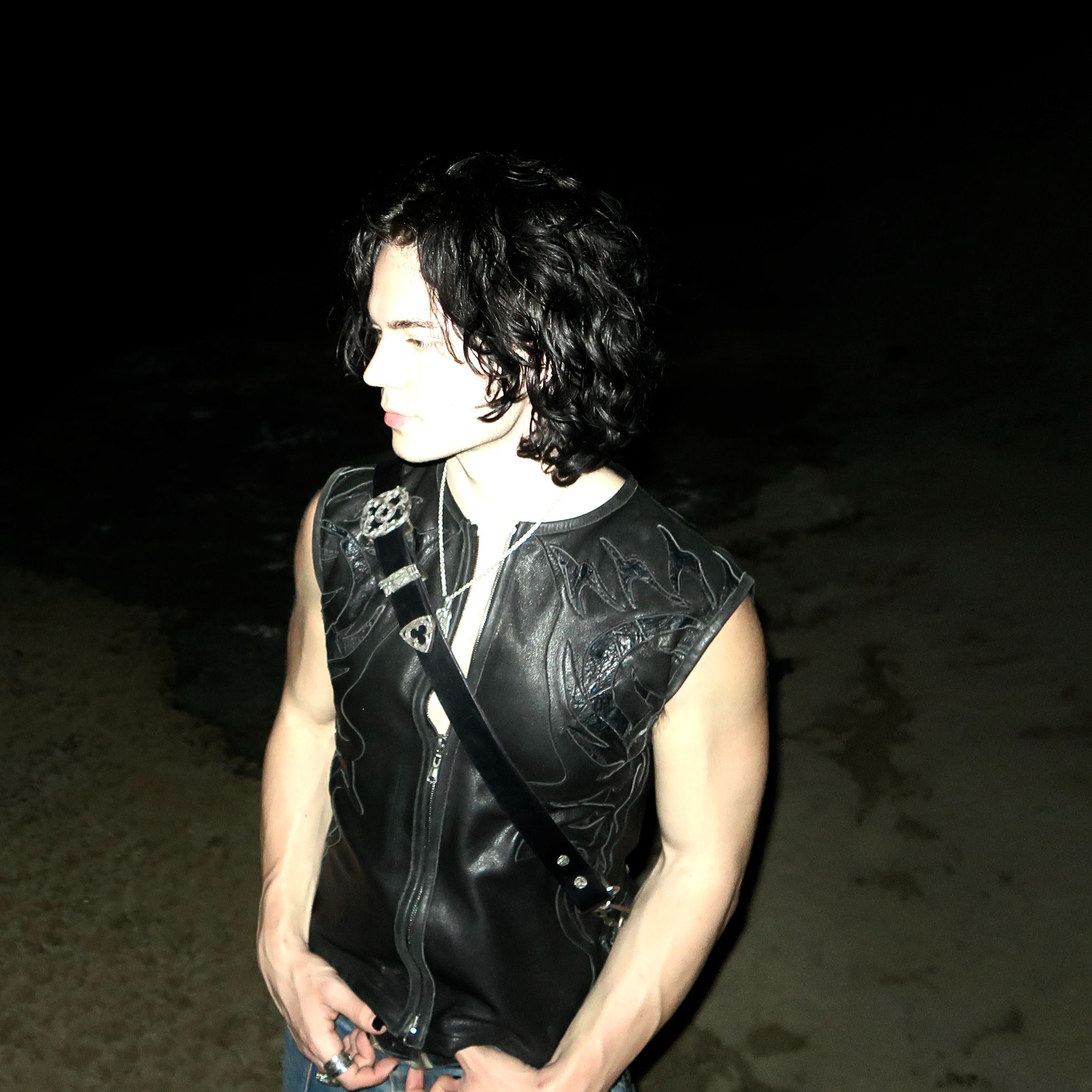 stevie vicious