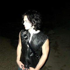 stevie vicious