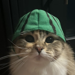 wownay