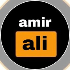 Hallie fa amir