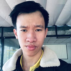 Tùng phan