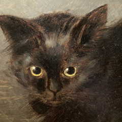 punkcatter