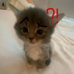 rid_vlkk