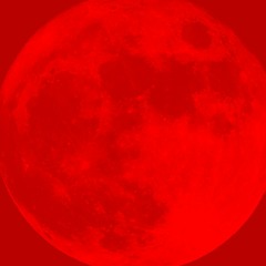 𝚓𝚙 / 𝚌𝚘𝚣