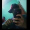 Sheldon Carvalho