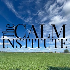 The CALM Institute