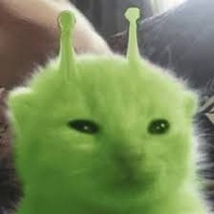 Lil' Buddy5