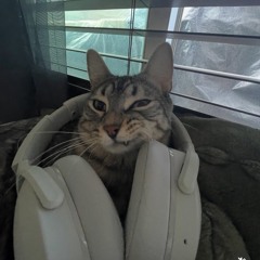 ヌービ