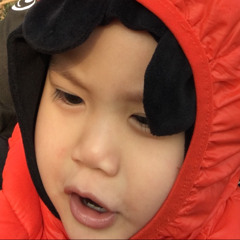 Điệp Đỗ
